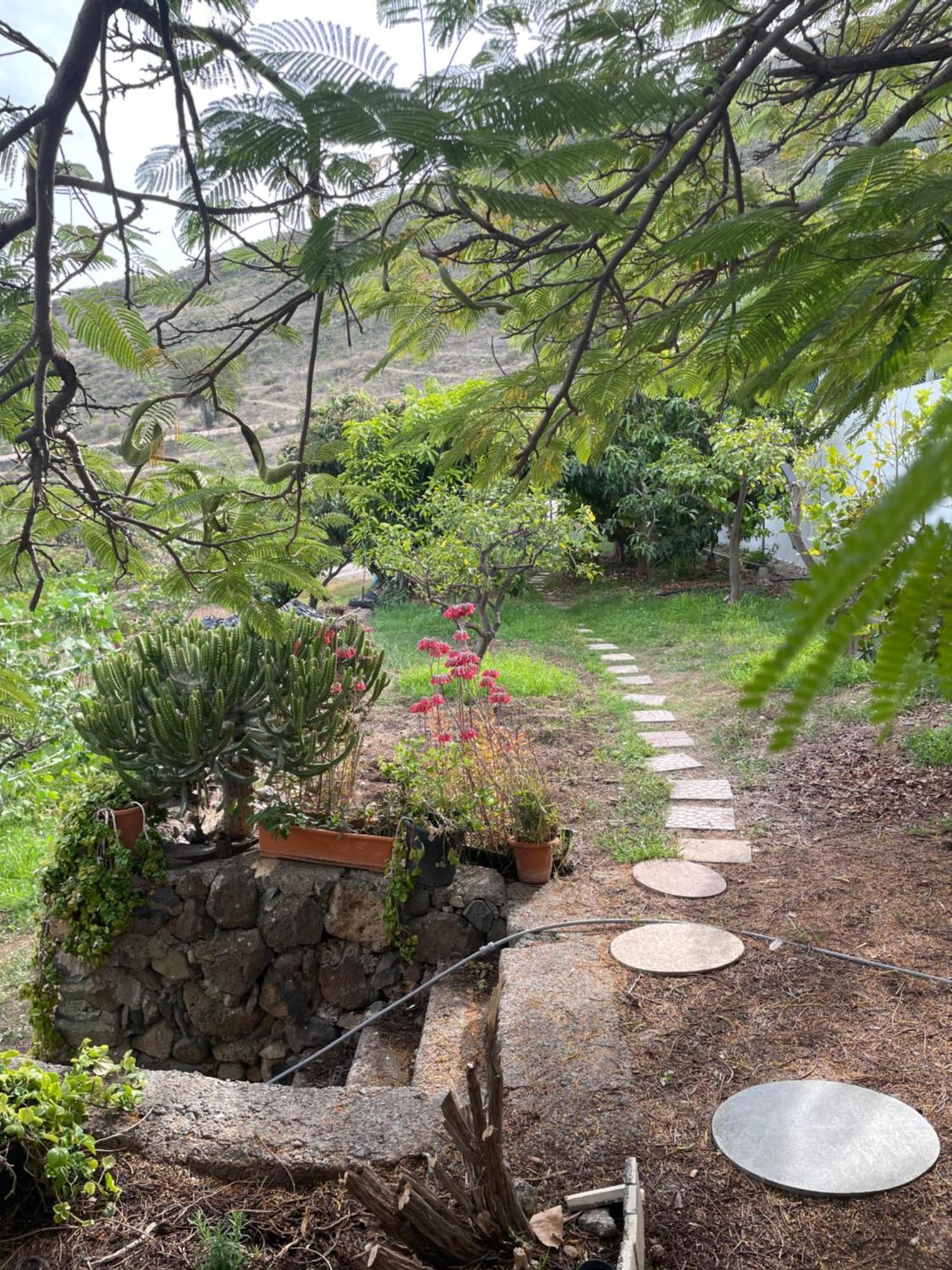 Casa Rural En Santa Cruz Los Campitos Bagian luar foto